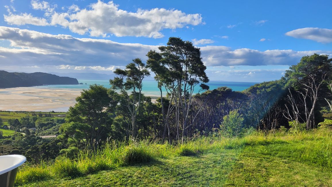 Von den Seehunden weiter in den Abel Tasman-Nationalpark