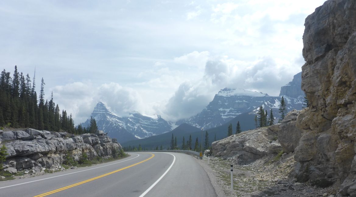 2025-06-19 sur l'Icefields Parkway de Jasper à Lake Louise, CA