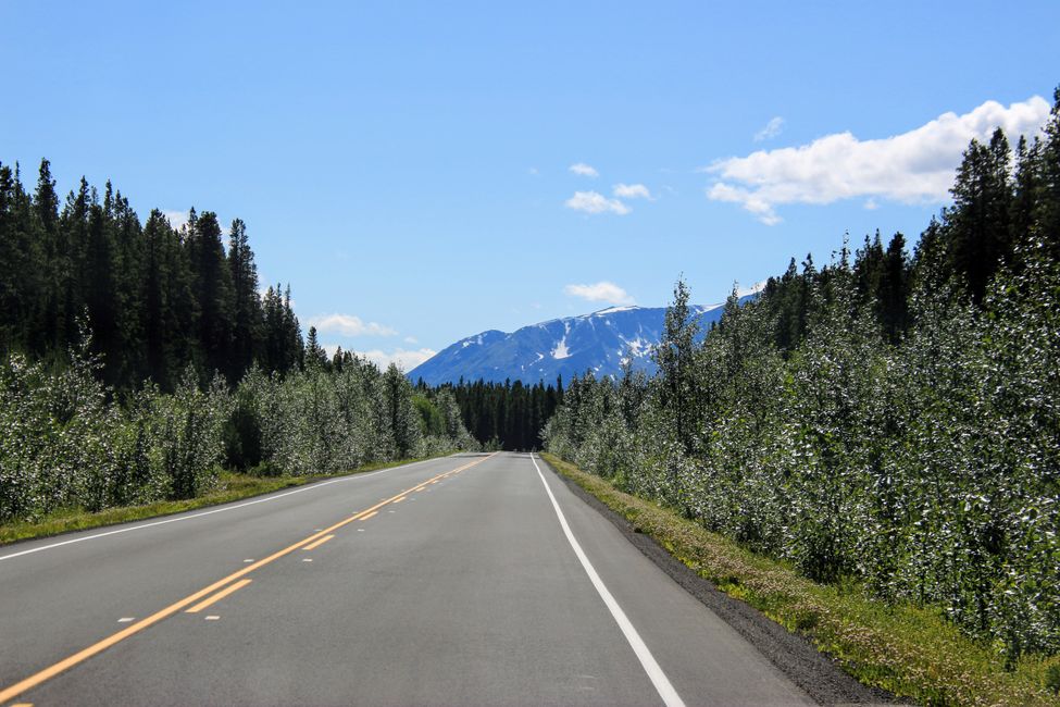 Stewart-Cassiar Highway 