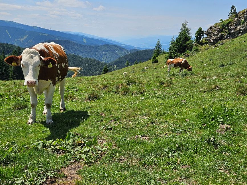 2025 - Luglio - Semmering
