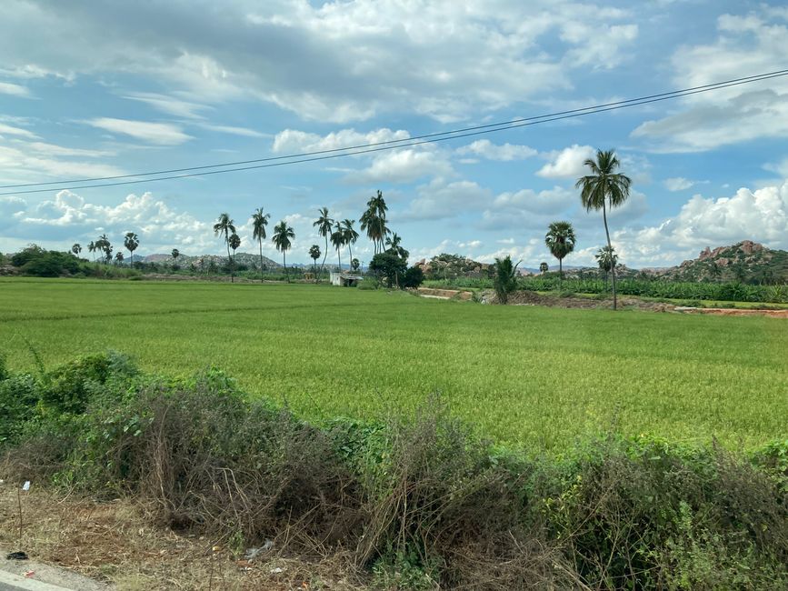 Agricultura típica