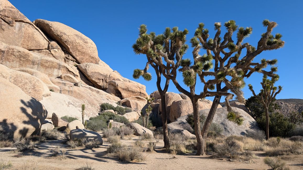 USA - Las Vegas and more ...   road trip 2025