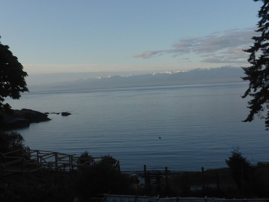 Die Bucht am Morgen