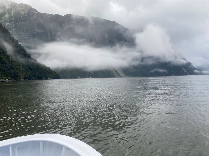 Road trip to Milford Sound