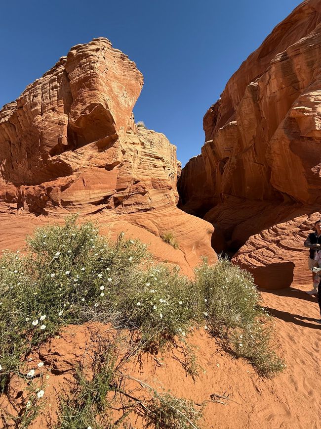 Secret Antelope Canyon