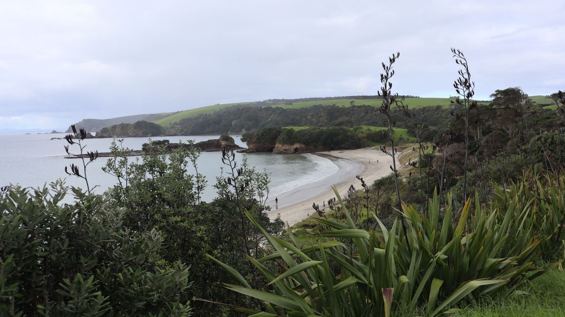 Tawharanui Regional Park