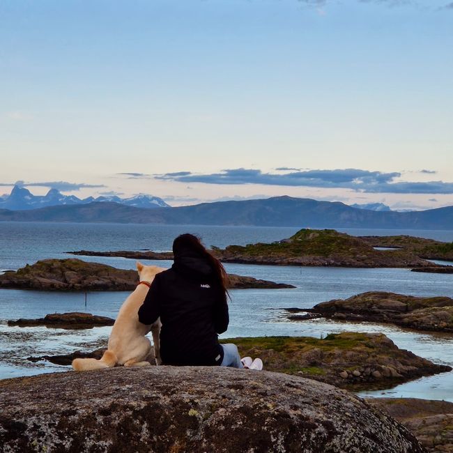 Offersøy