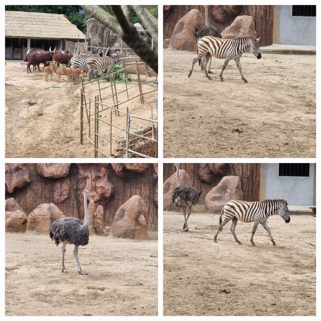 Tag drei: Zoo Aurora und Stadtteil Cayala