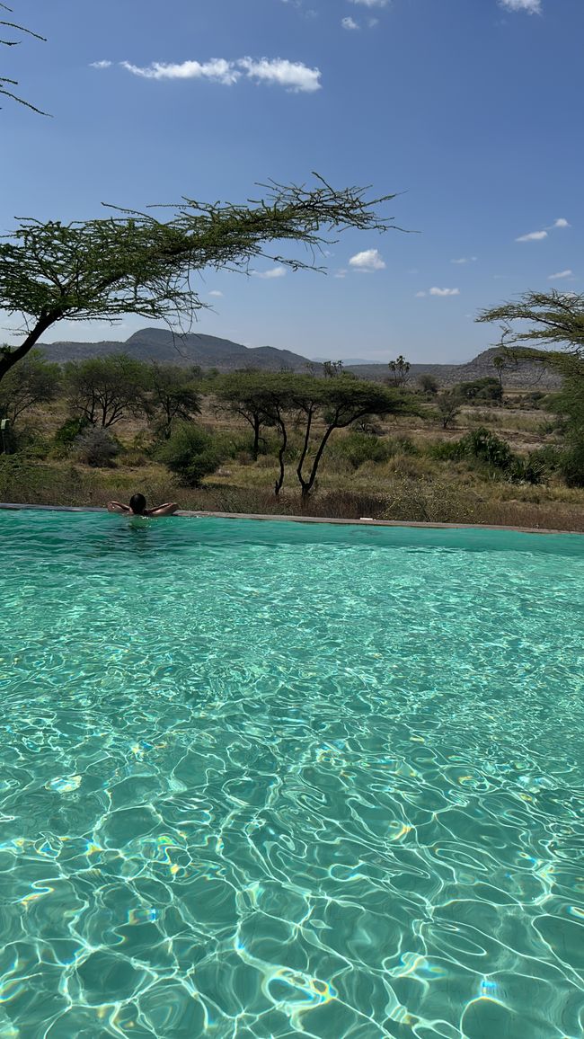 Leoni, elefanti, giraffe e compagnia nel Samburu