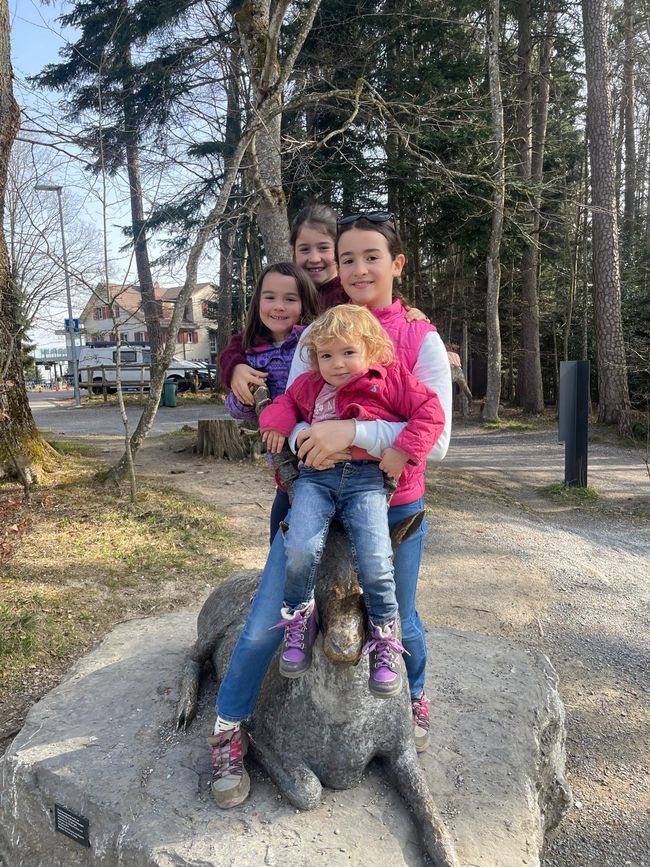 Visite du parc animalier