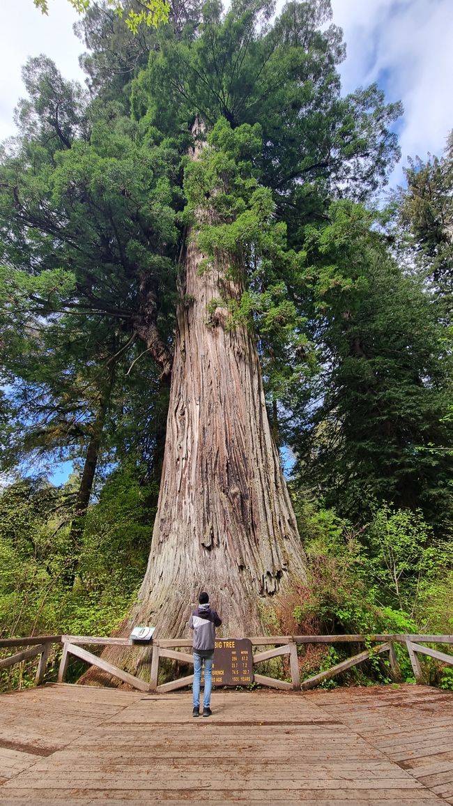 USA West Coast Roadtrip - Tag 7