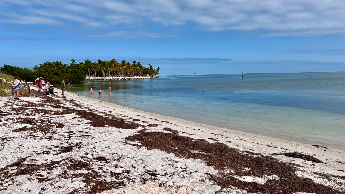 Tag 397 - Back to Miami-Beach