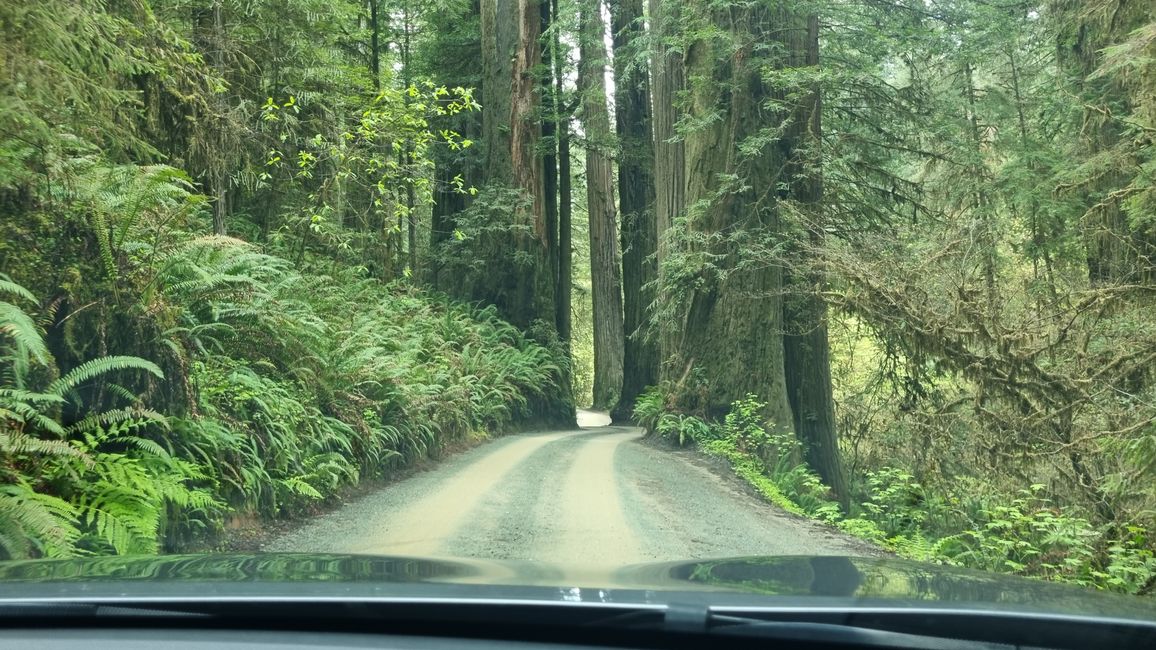 USA West Coast Roadtrip - Tag 6