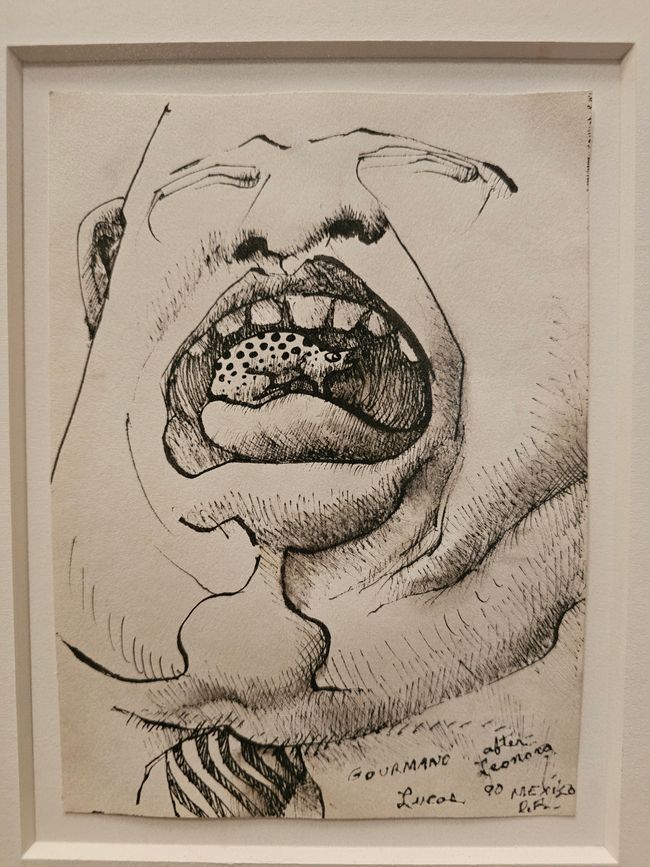 MFAH Photos de Hannes