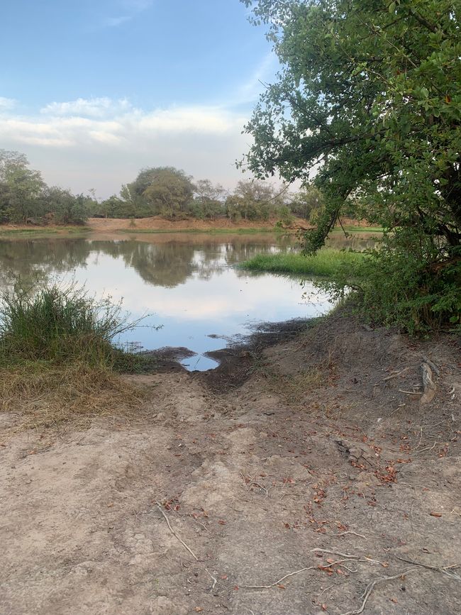 Parco Nazionale Mole & Larabanga
