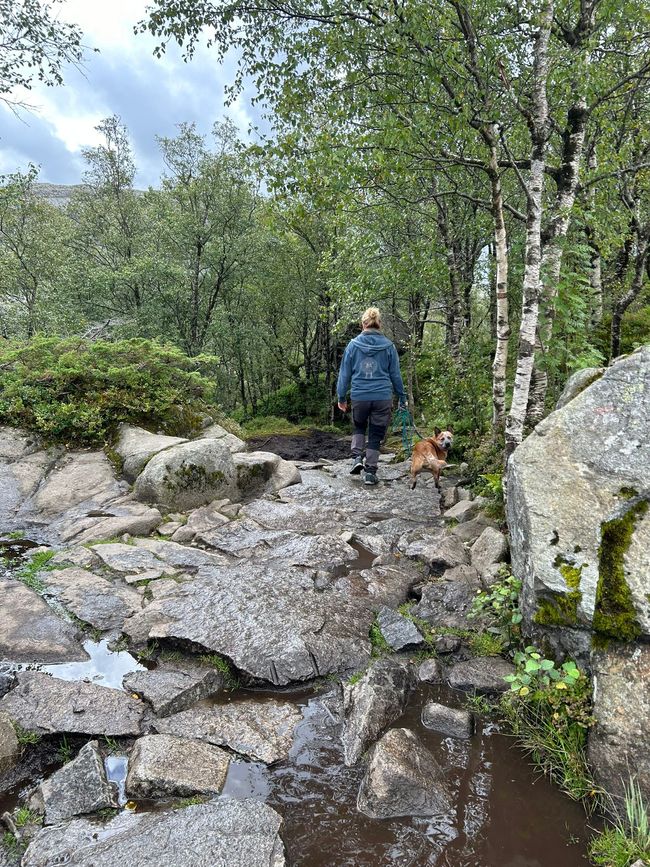 Days 5 and 6 - via Stavanger to the Preikestolen Campsite