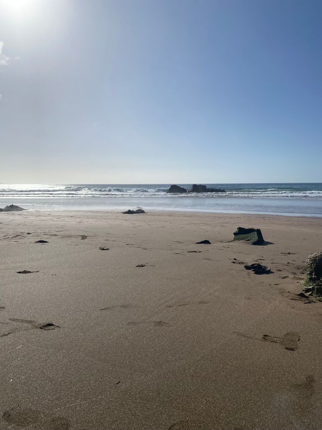 Coromandel loop