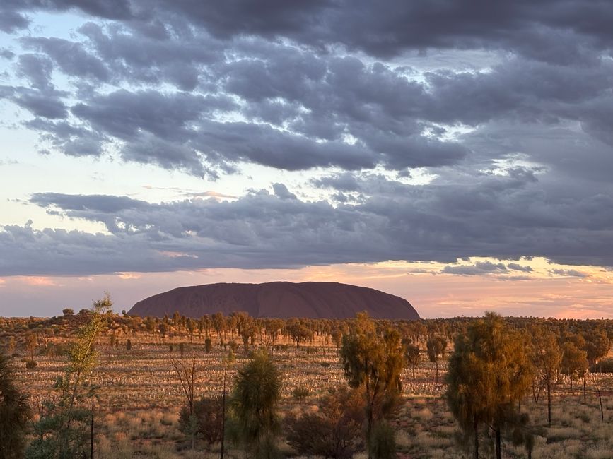 Uluru Giorno 1, 08.01.25
Il Centro Rosso