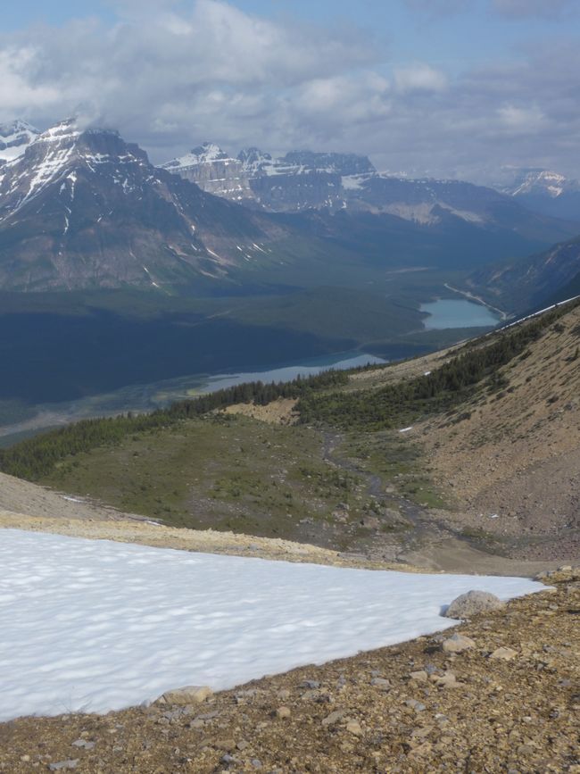 2025-06-19 sur l'Icefields Parkway de Jasper à Lake Louise, CA