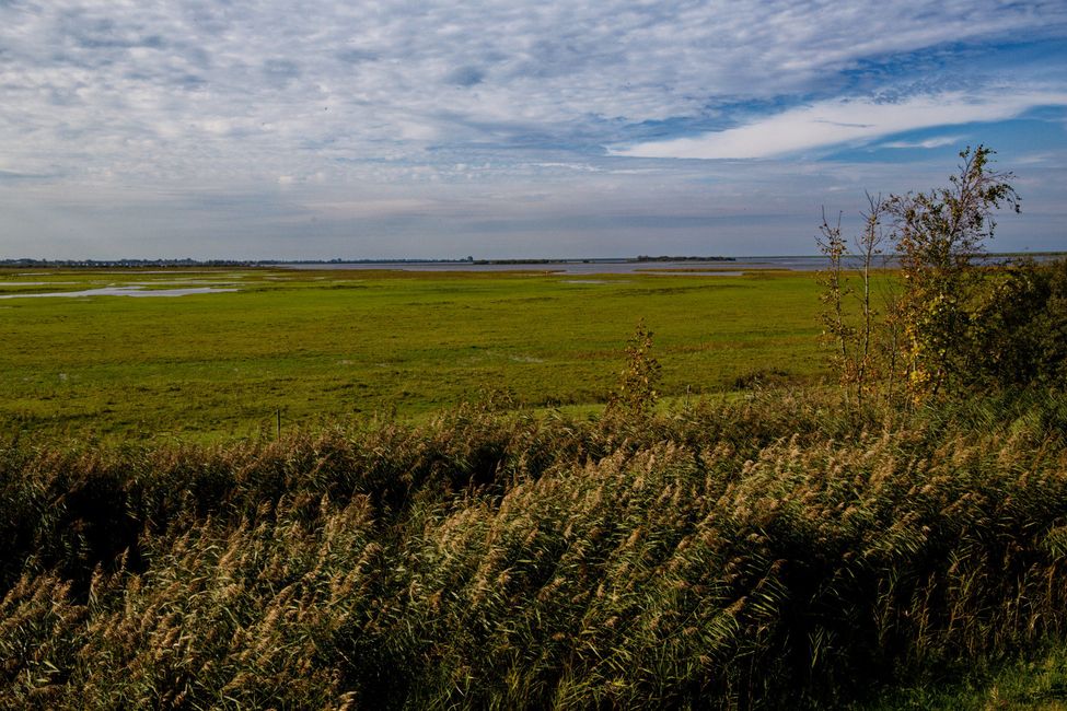 Rugged nature in open landscape