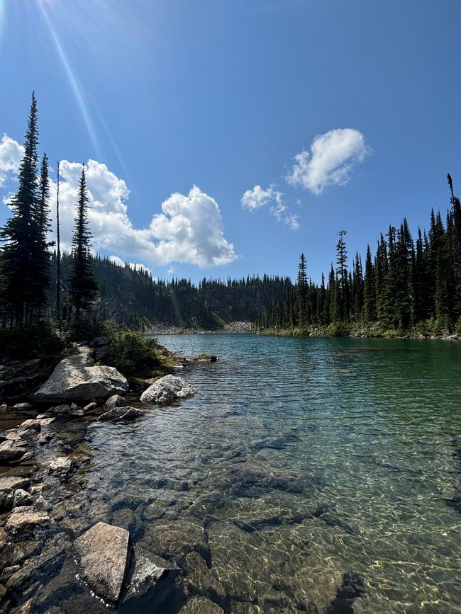 Tag 8 - Mount Revelstoke Nationalpark