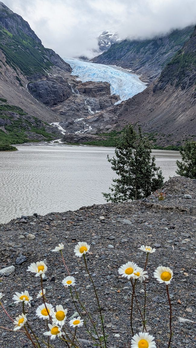 Bear Glacier