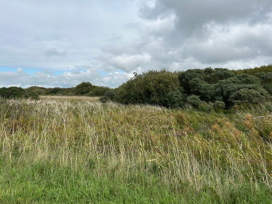 Tag 6: Schevingen - Middelburg Teil 2