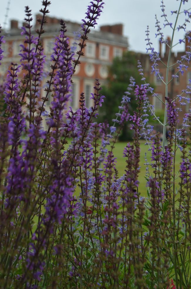 Hampton Court Palace