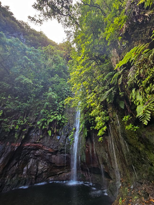 Tag 10: Levada das 25 Fontes und Risco & Feenwald