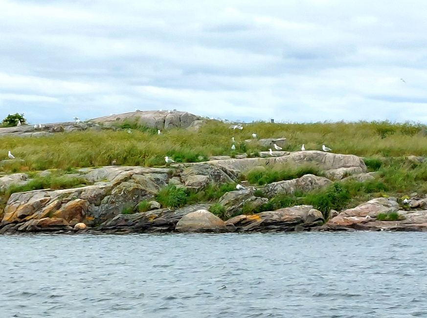 Southern Sweden Tour - Day 6