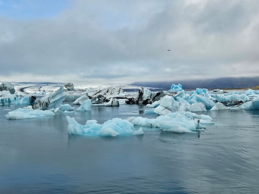 Jökulsárlón 