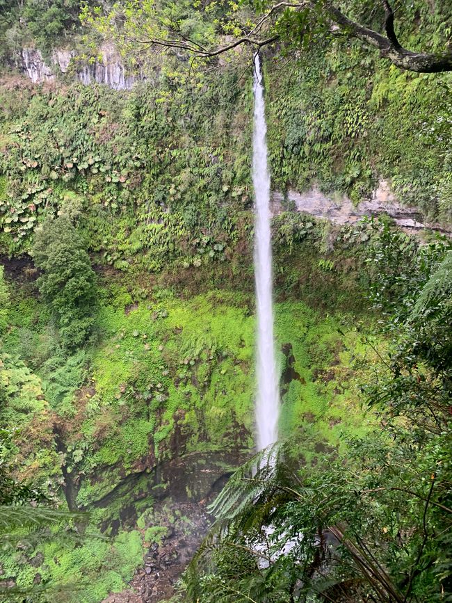 Pucón