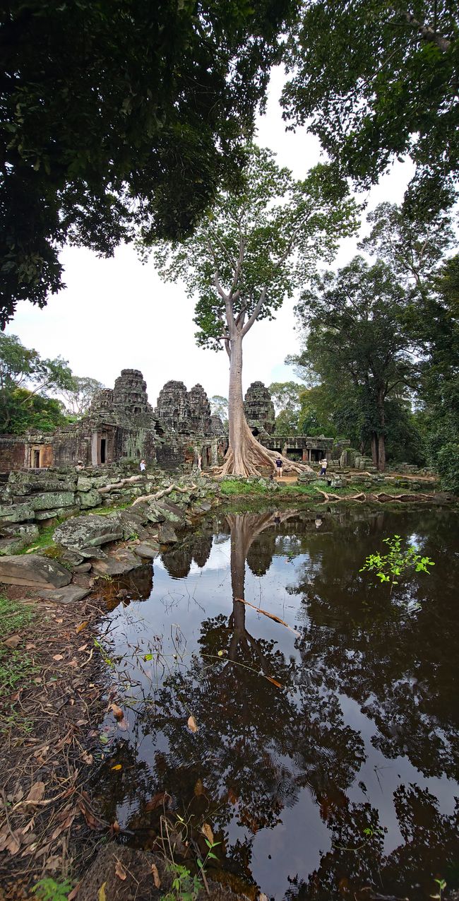 Alles kommt anders... - oder: Die Tempelanlagen von Angkor