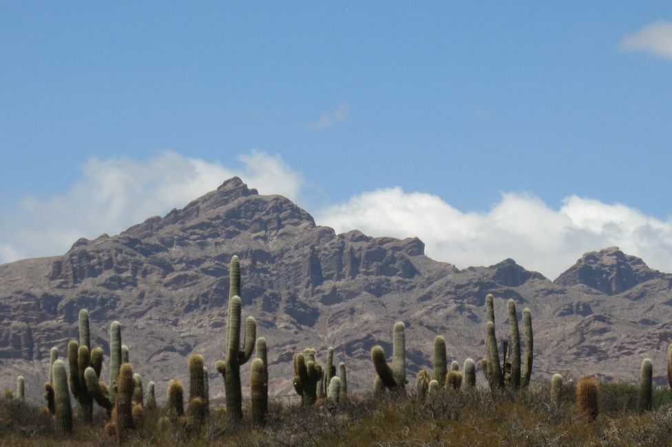 Southeast of Salta