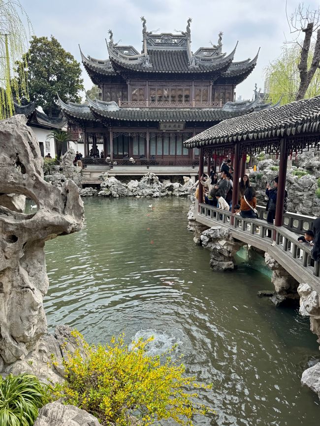 Part 5 SHANGHAI