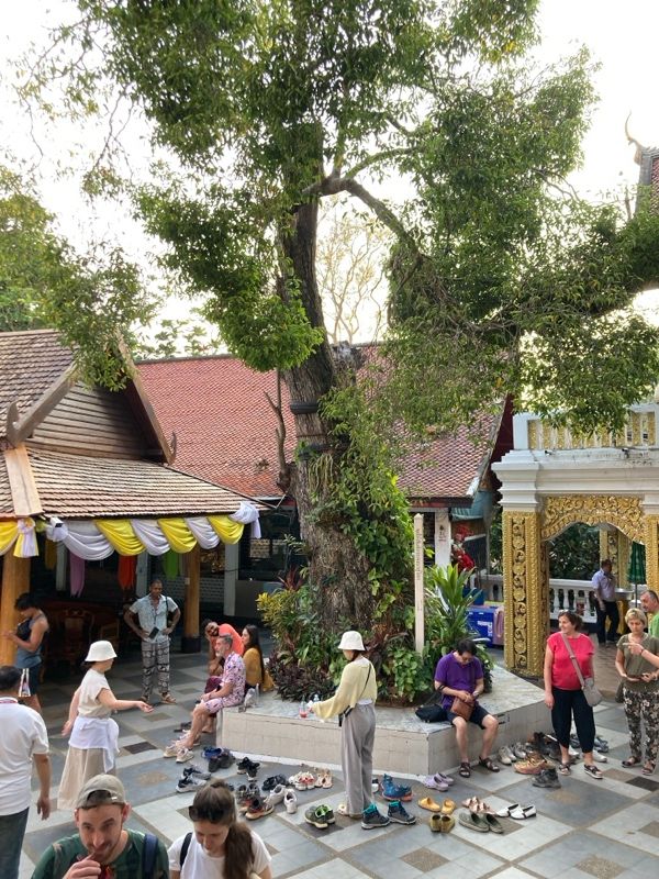 Chiang Mai- ein Kulturschock für uns Europäer