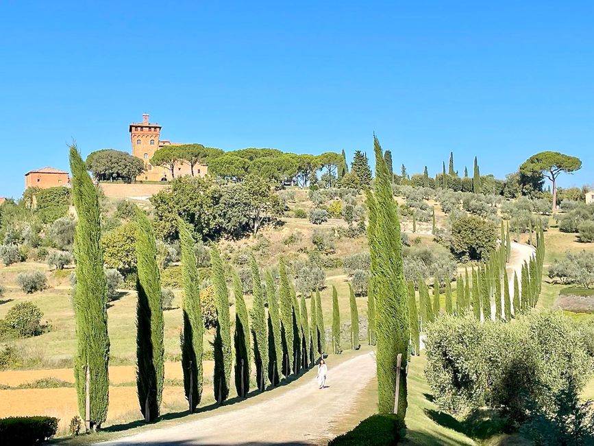 Auf der Fahrt von Pienza in Richtung Siena warteten Postkarten-Motive auf uns.
