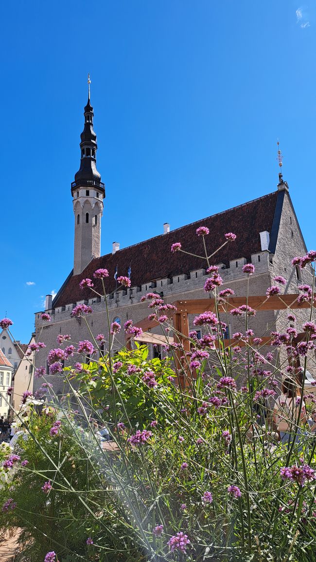 Town Hall