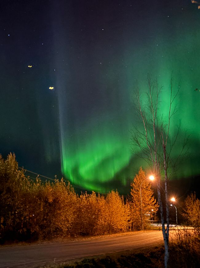 标签 7 - 🌌 北极光、颤抖的早晨与野牛 – 一天充满了加拿大的神奇 🇨🇦