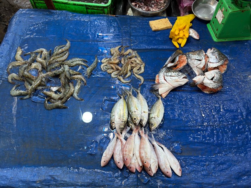 Adiós Mekong