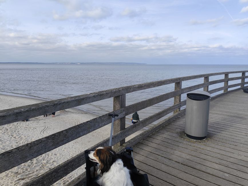 Wieder mal auf Rügen - Beruf und Urlaub in einer harmonischen Symbiose