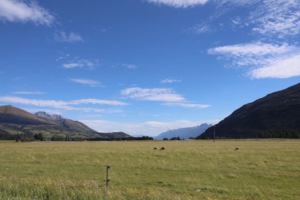 Auf nach Paradise zu "Herr der Ringe"