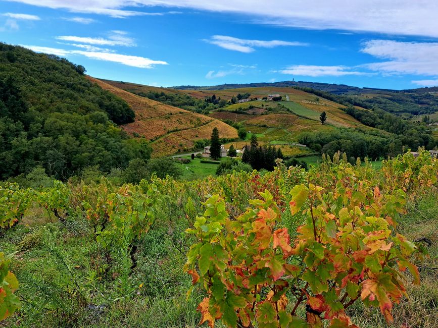 View into Beaujolais