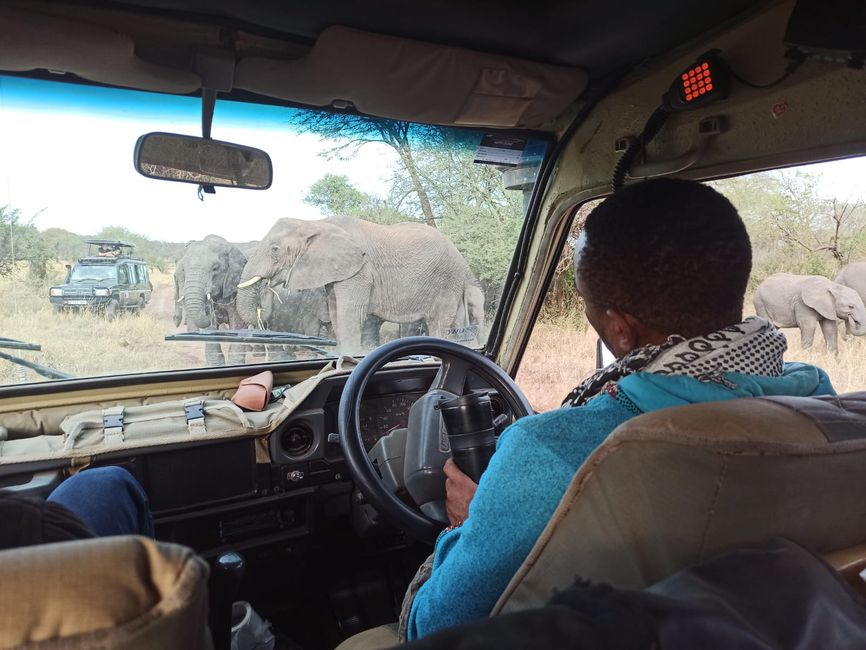 En la Serengeti - Día 2