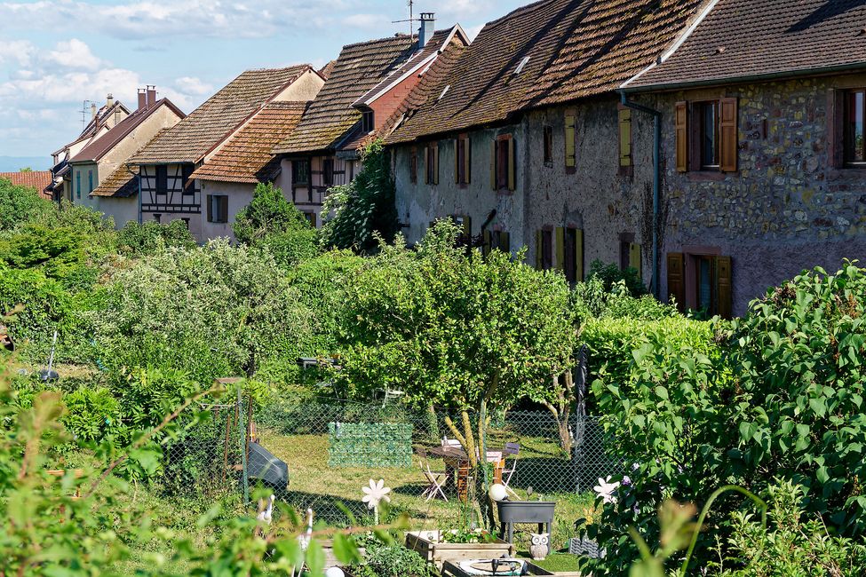 Elsass