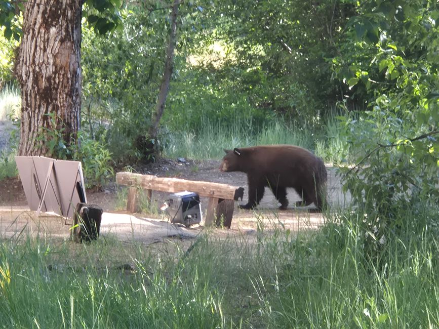 30m Entfernung, da zittern die Knie