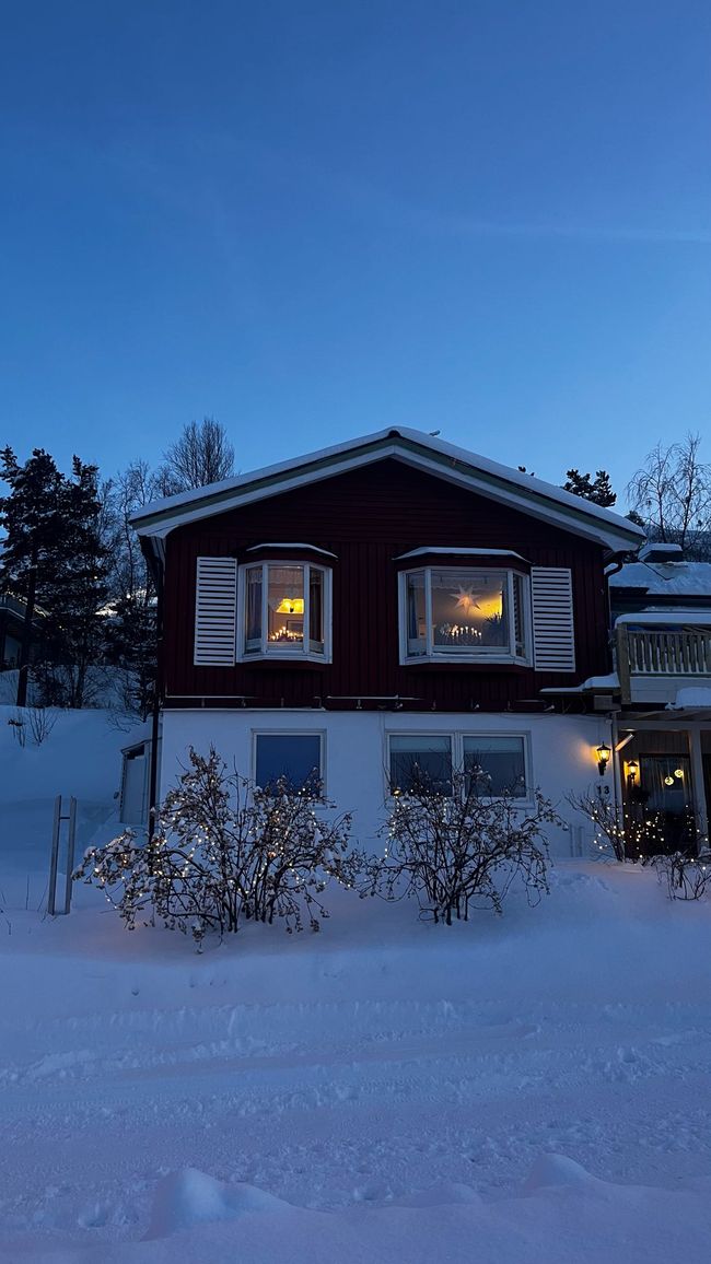 Lapland ❄️🫎
