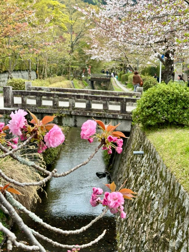 Part 8 Japan 🇯🇵 Kanazawa