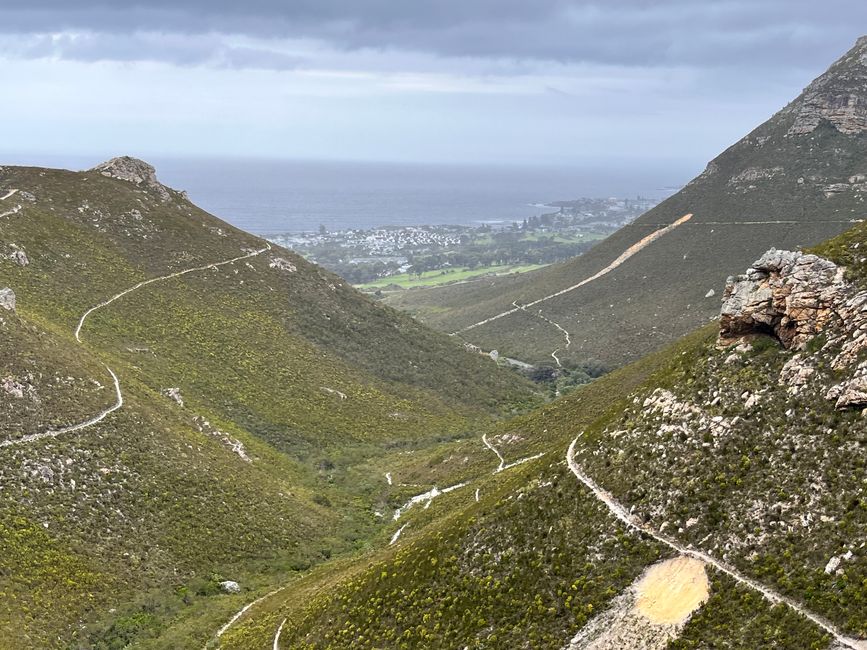 Hermanus
