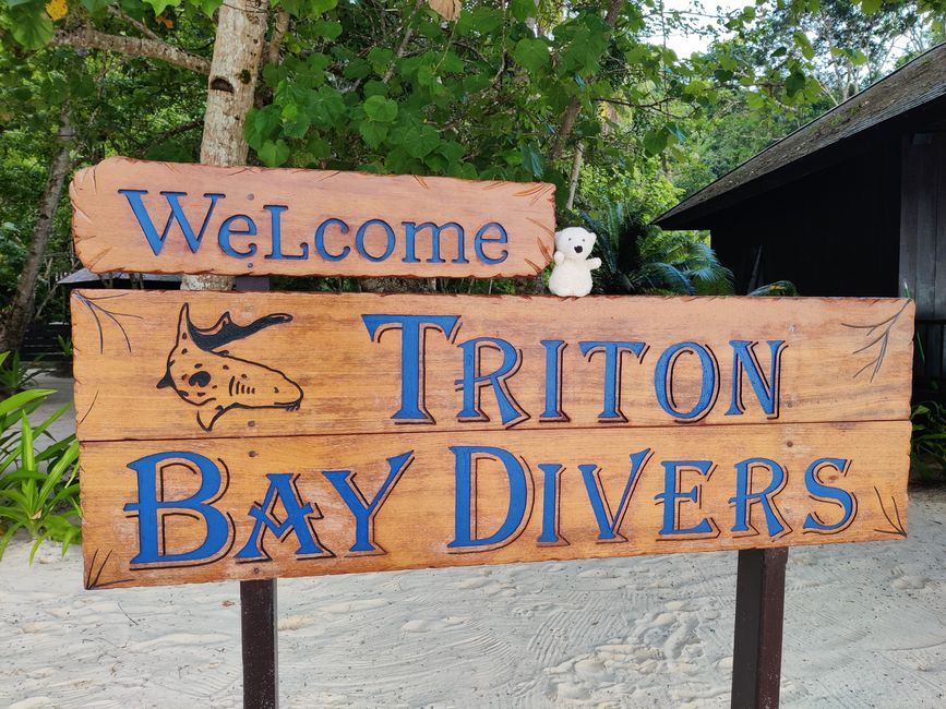 Travis ai Triton Bay Divers: Squali e altro